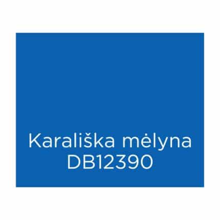 Eco Dye Block küünlavärv – Kuninglik sinine